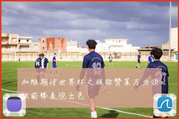 加维期待世界杯之旅称赞莱万为顶级前锋表现出色