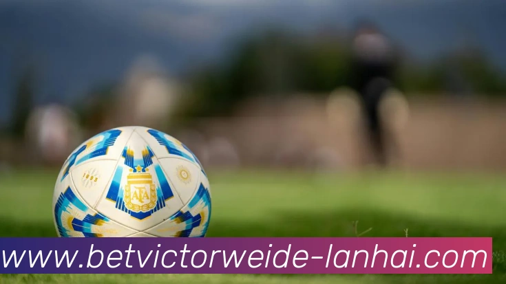 betvictor伟德平台生态图